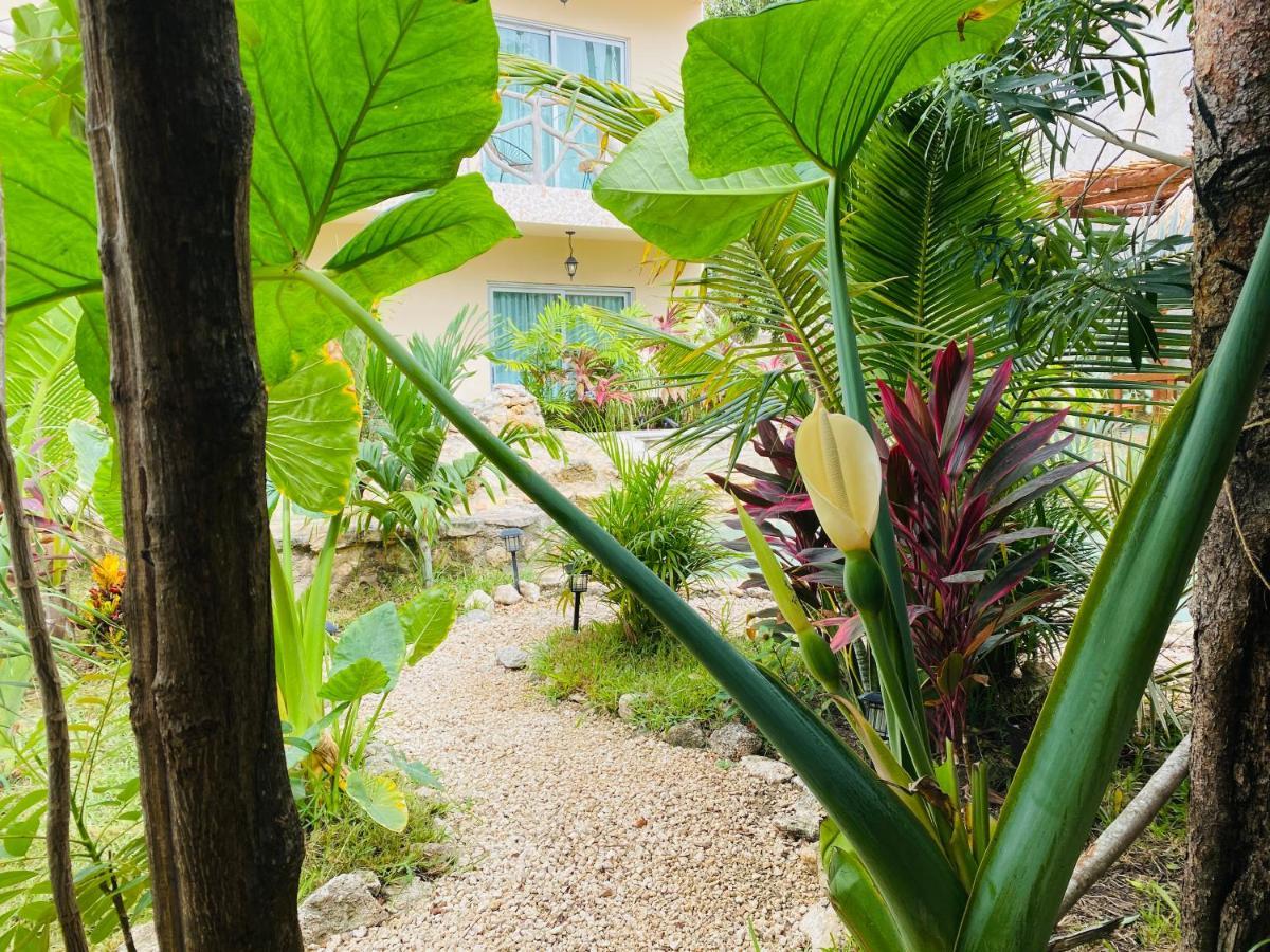 Jaakbal Tulum Apartment ภายนอก รูปภาพ